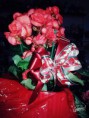/album/galeria-de-fotos-arranjos-florais/a11218760-928026593951540-8417215061971682703-n-jpg/