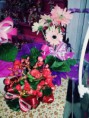 /album/galeria-de-fotos-arranjos-florais/a12003151-928027157284817-8159336328368409532-n-jpg/