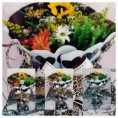/album/galeria-de-fotos-bouquet-de-flores-do-campo/a12036948-928486790572187-3638829579880474486-n-jpg1/