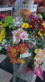 /album/galeria-de-fotos-arranjos-florais/a12074709-1152809094733571-8515855125288683606-n-jpg1/
